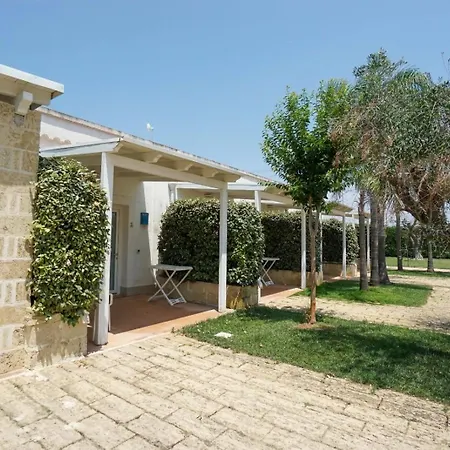 L'Ulivo e la Stella-2