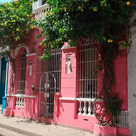 Casa Rosa - Alma Hotels-2