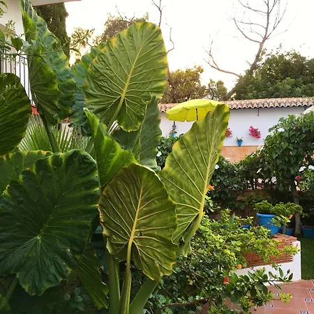 Hotel Carmen Teresa-2