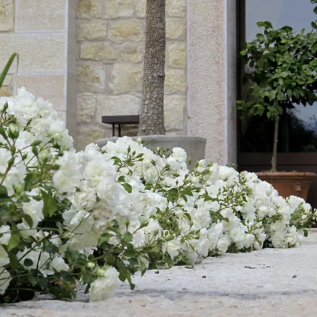 Delser Verona Manor House-3