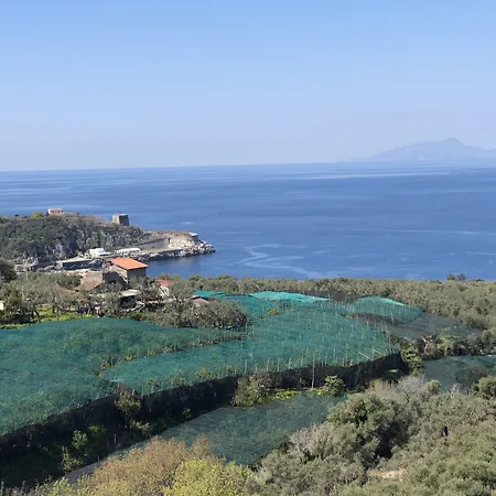 Hotel Dania-2