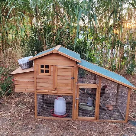 Refugio madera estilo árabe con estatuas, estanques y un pequeño zoo-3