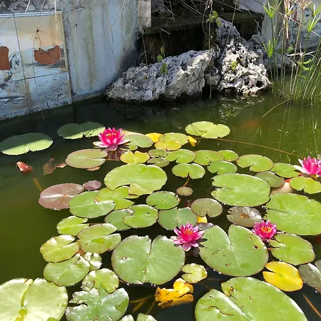 Villa Patrizia-2