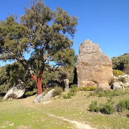 Tambor Del Llano-2