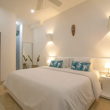 El Cactus Luxury Apartments In Historic Center-2