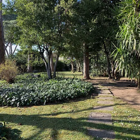 Villa Albina-2