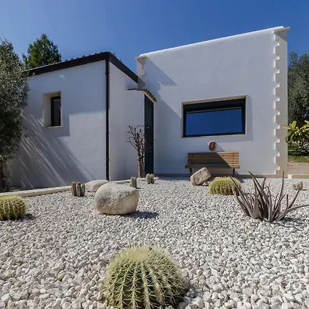 Tenuta Olive Alive-2