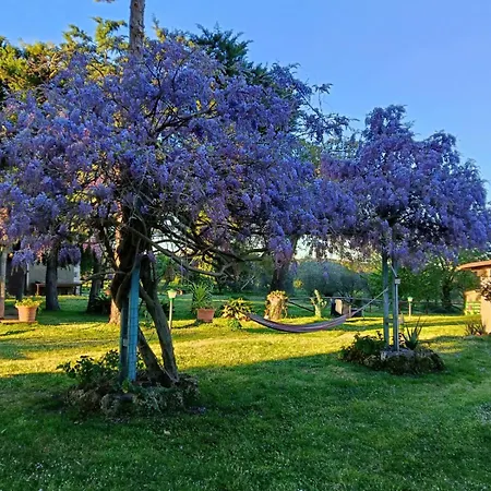 Agriturismo Bio Pian Dei Casali-3
