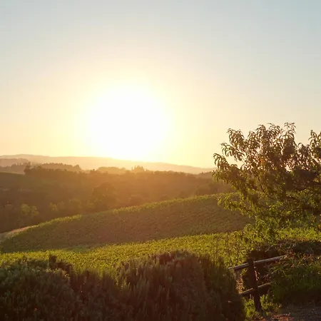 Agriturismo Montegonfoli-3