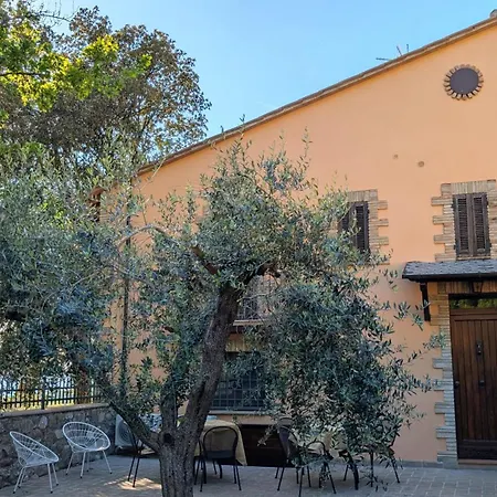 L'Agrifoglio di Assisi Residenza di Campagna-2
