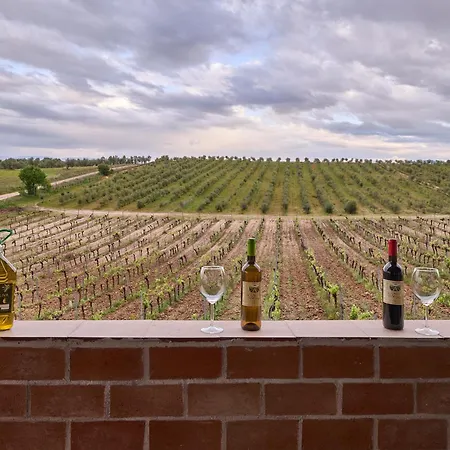 Finca Valdelajara A 20 Minutos De Puy Du Fou-3