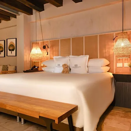 Hotel Casa Don Luis By Faranda Boutique, A Member Of Radisson Individuals-3