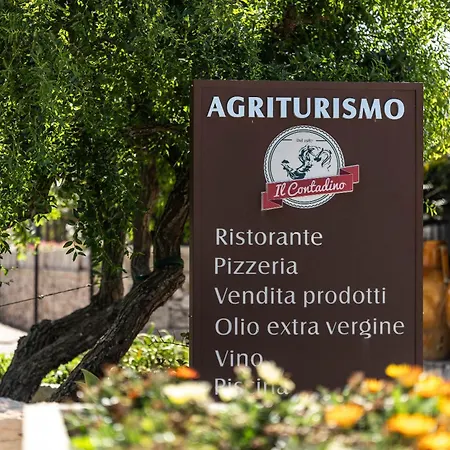 Agriturismo il Contadino-3