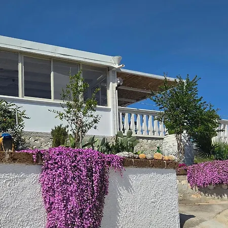 B&B Dimorangel-2