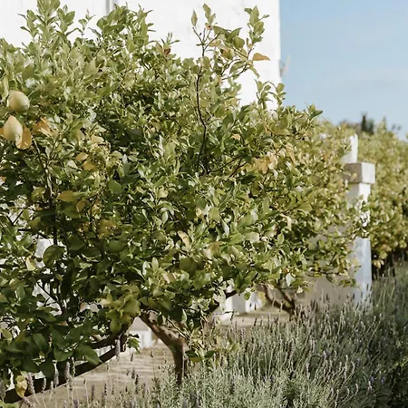 Masseria Mammella-3