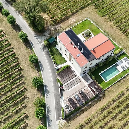 B&B Il Vigneto-2