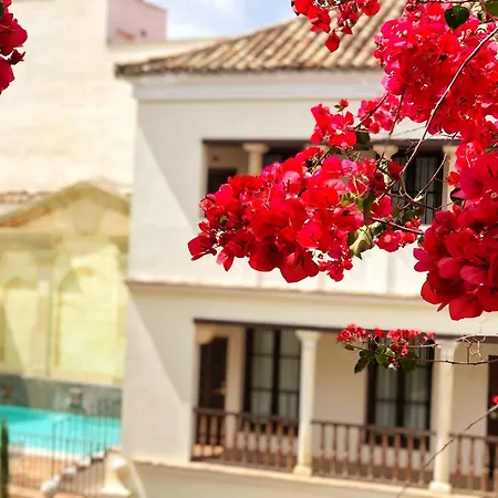 Las Casas de la Judería de Córdoba-3