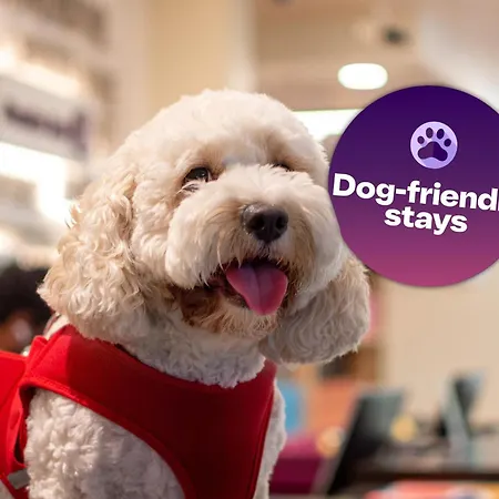 Premier Inn Dubai Al Jaddaf - An Emirates Group Company-2