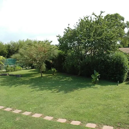 Azienda Agrituristica Seliano-2