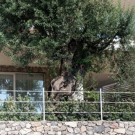 Iancu Charme Apartments-2