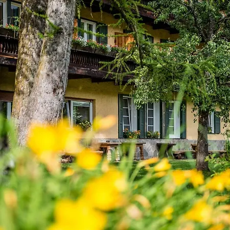 Appartchalet La Rondula - 100M From Seceda-3