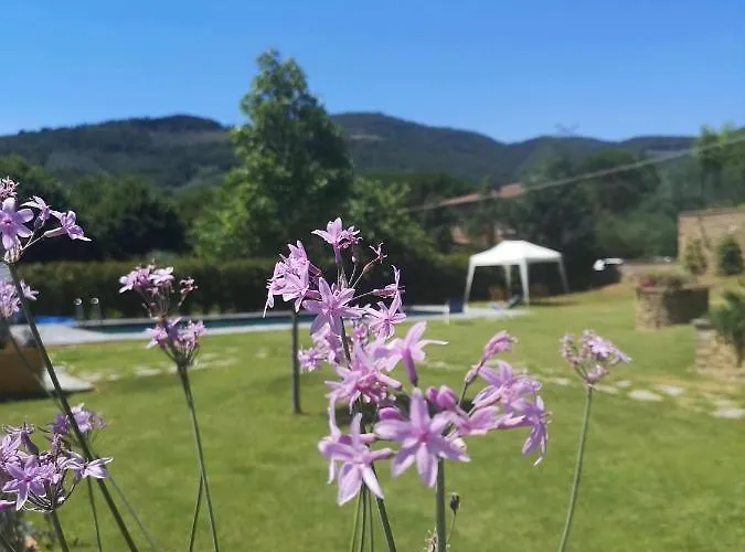 Alba Morus Bed&Breakfast sentiti a casa nel cuo Arezzo