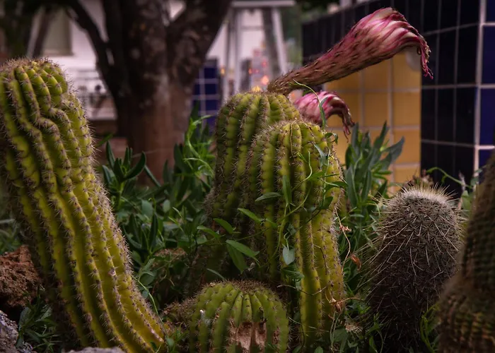 Villa Nicodemo Paestum