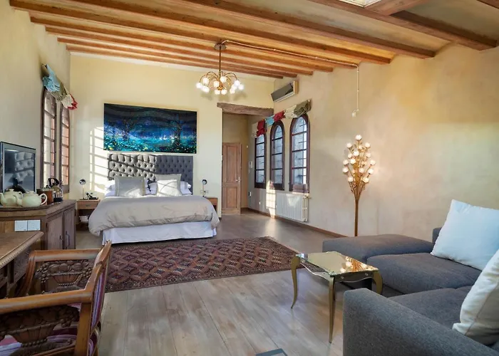 Villa Mas Moli Petit Gerona