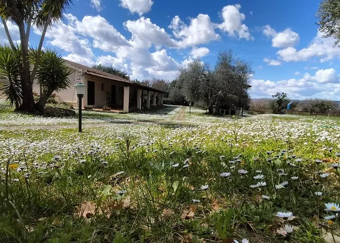 Agriturismo Bio Pian Dei Casali Saturnia