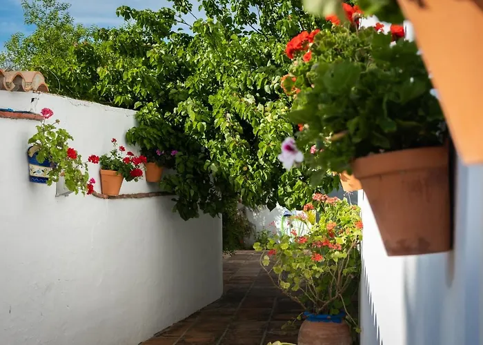 Hostal Cabo Roche Conil De La Frontera