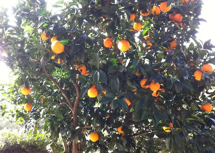 Agriturismo La Rocca di Perti Finale Ligure