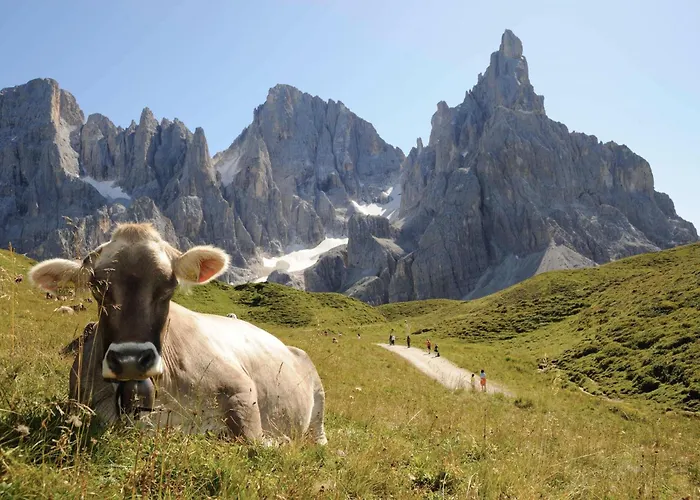 Sporting Aparthotel San Martino Di Castrozza