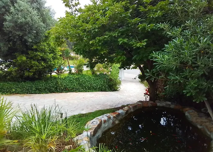 Villa Max Lloret de Mar