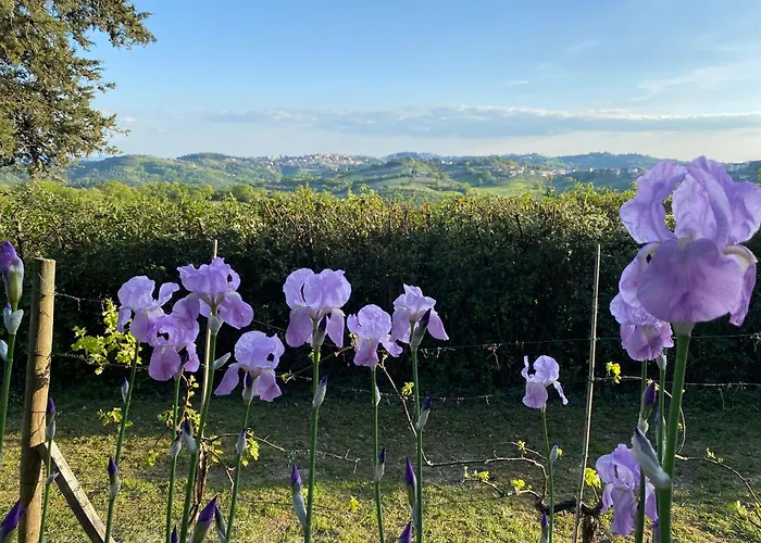 Villa Relais Casamassima Montebagnolo