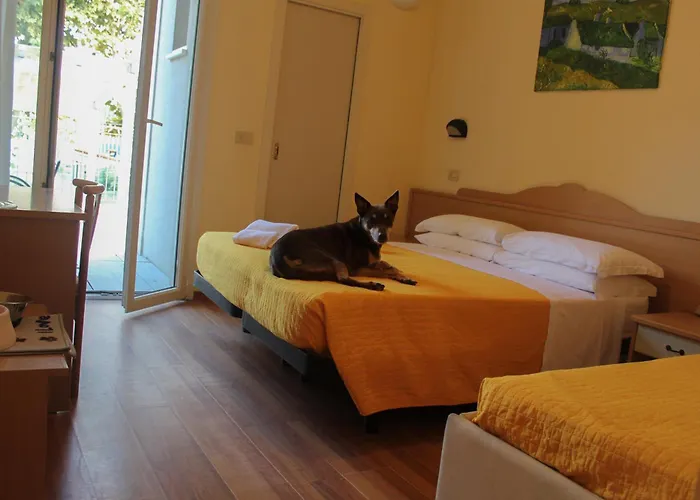 Pet Hotel Virginia - Hotel per cani Rimini