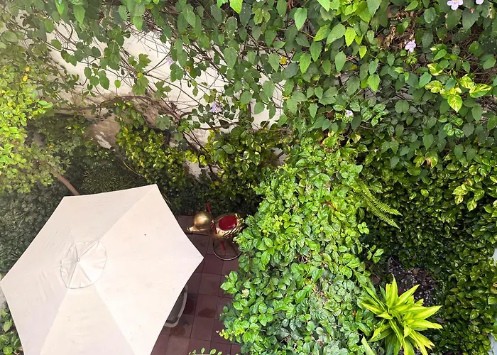 Hotel Casa Bugambilia x Ahead Santa Marta 