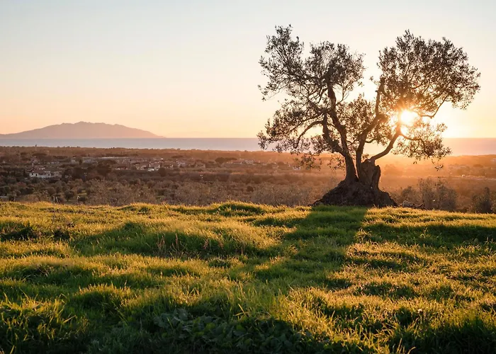 Agriturismo Podere L'Agave San Vincenzo