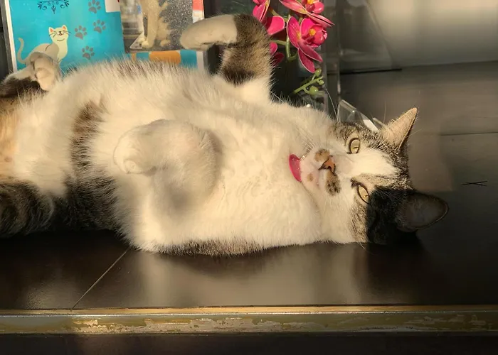 Hotel Parque de los Novios Inn Santa Marta 