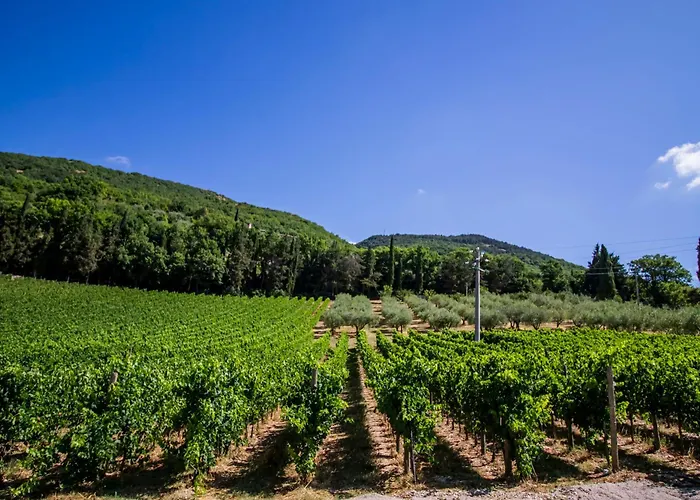 Cantina Semonte Wine Resort Gubbio