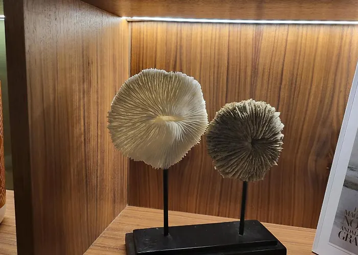 Star Champs-Elysées Parigi