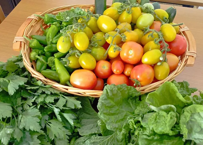 Hotel Residence Villa Ascoli Vieste