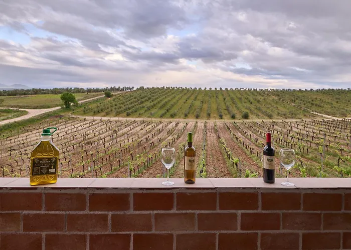 Finca Valdelajara A 20 Minutos De Puy Du Fou Toledo