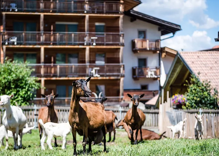 Sporthotel Exclusive San Vigilio Di Marebbe