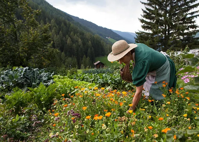 Hotel Mareo Dolomites San Vigilio Di Marebbe