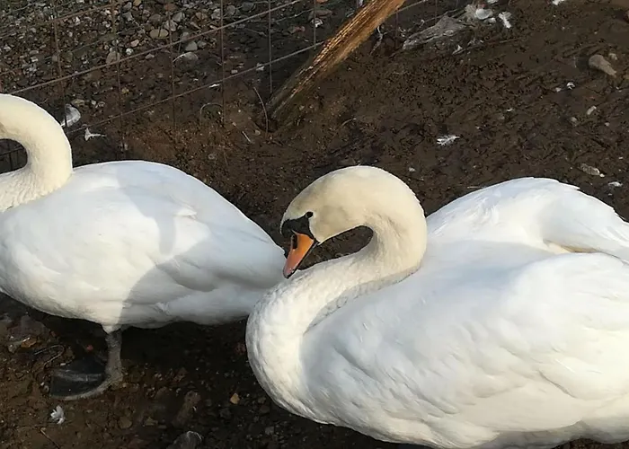 Agriturismo Dolce Luna Milano